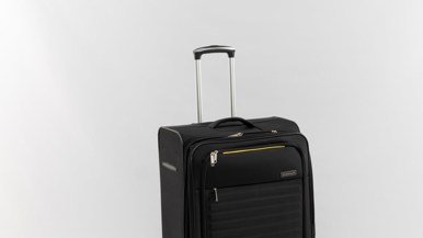 Swiss Alps Munich Large Luggage