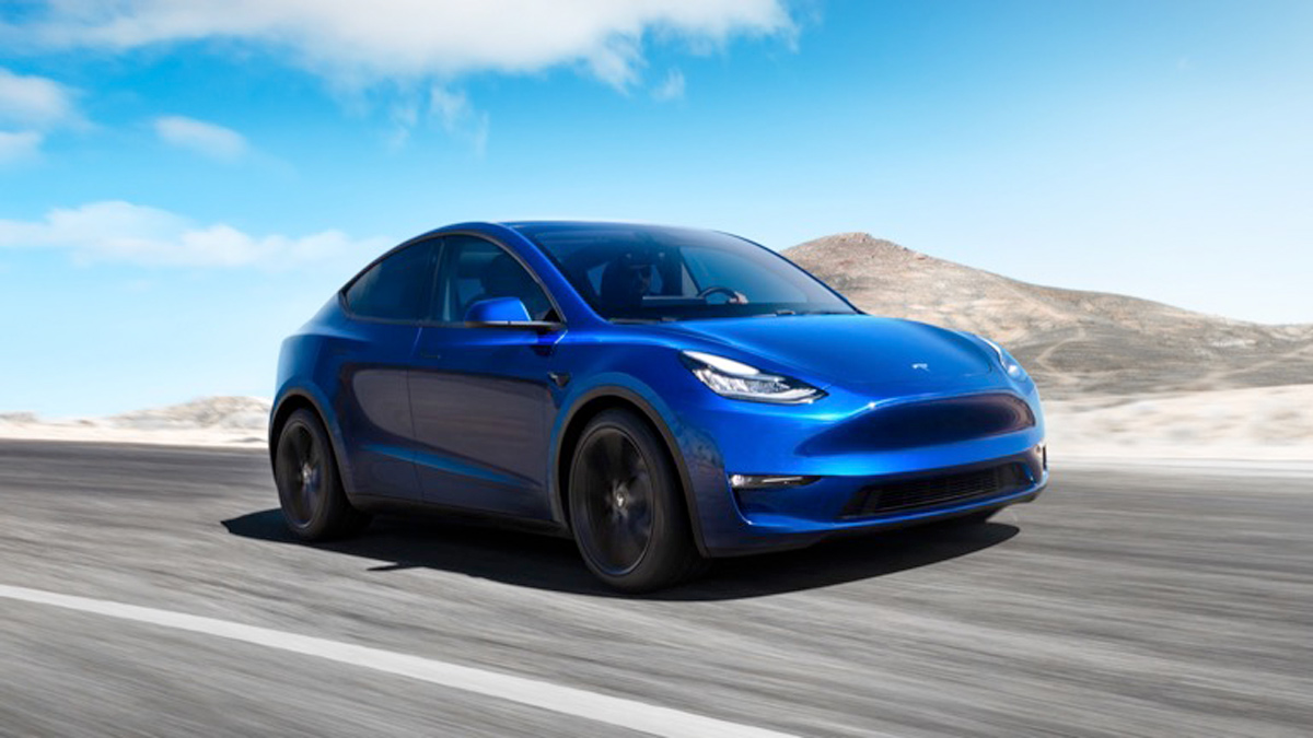 Tasmanian tesla online model y