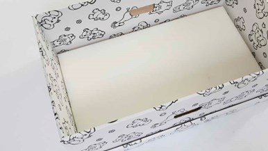 The Cardboard Box The Bed Box