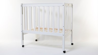 Tikk Tokk Elm TEF02w