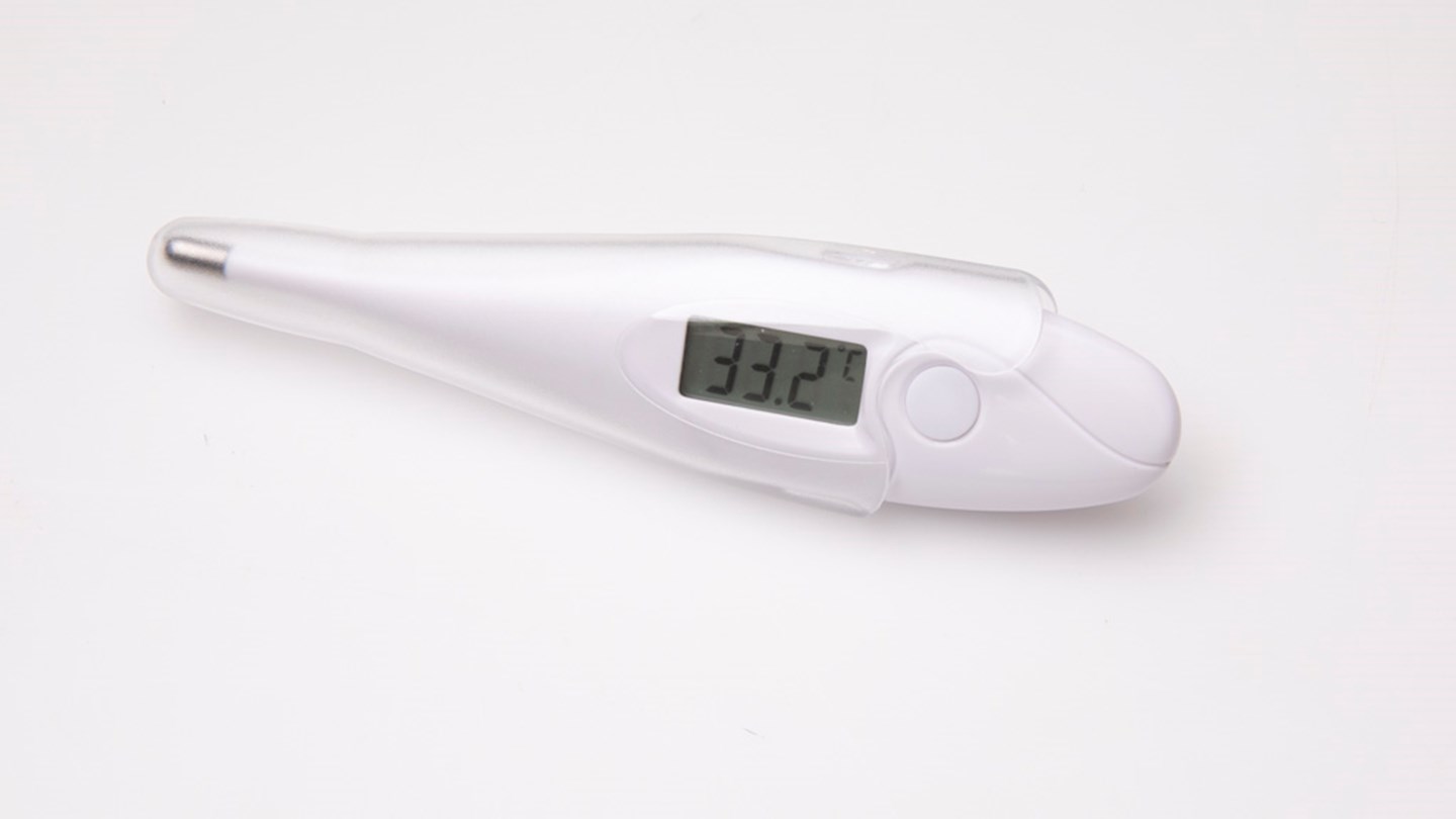 Welcare WDT303 Ultimate Digital Thermometer Review Personal