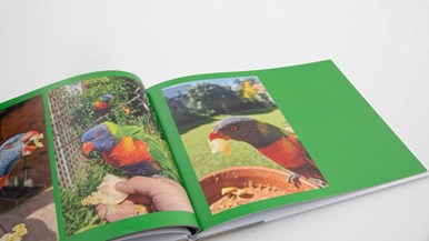 Vistaprint Large Landscape Photo Book