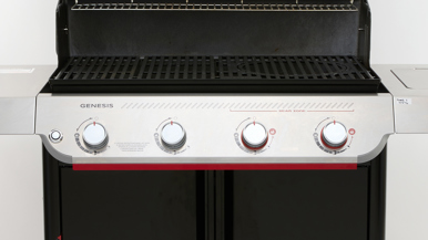 Weber Genesis E-425 LPG