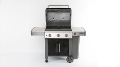 Weber Genesis II E315