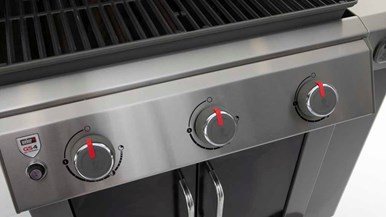 Weber Genesis II E315