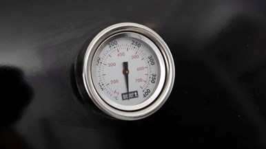 Weber Genesis II E315