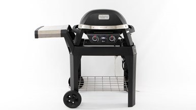 Weber Pulse 2000