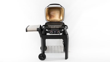 Weber Pulse 2000