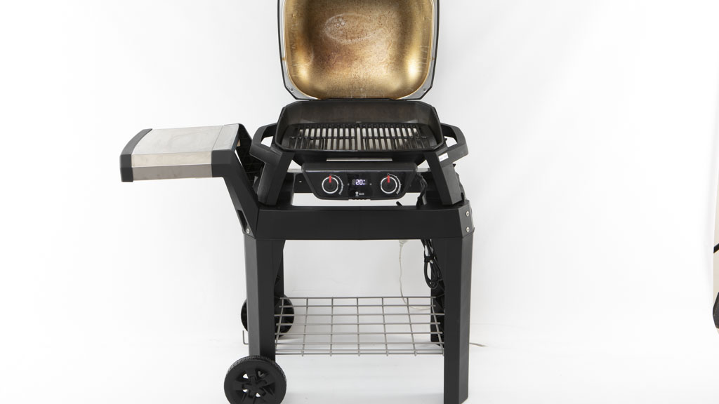 Weber Pulse 2000