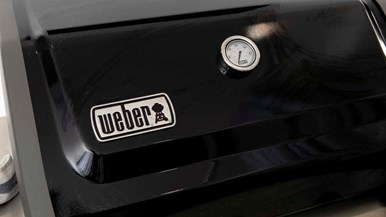 Weber SPIRIT II E310 LPG