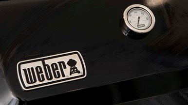 Weber SPIRIT II E310 LPG