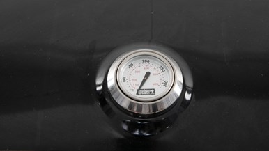 Weber Traveler LPG BBQ u0026 Propane Cannister