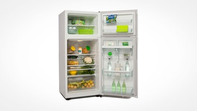 Westinghouse WTM4200WB fridge