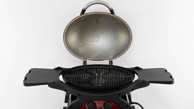 Ziegler u0026 Brown Twin Grill ZGTGRC with cart