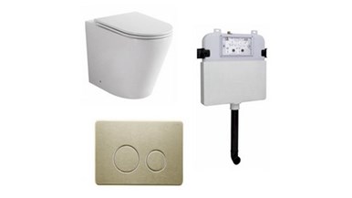 Zumi Java Concealed Cistern With Brushed Gold Flush Plate And Pan